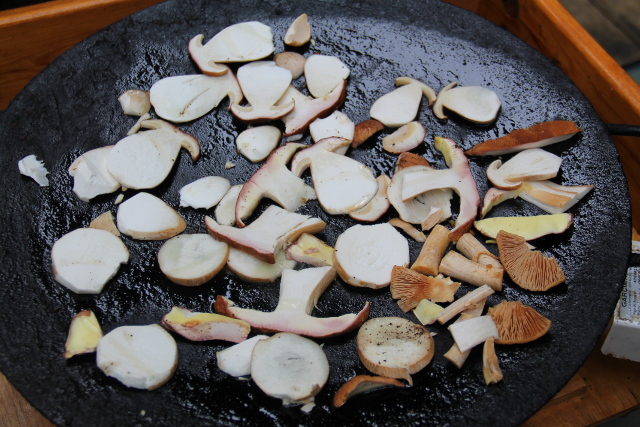 Herkkutatit ja yksi kehnäsieni pannulla. 