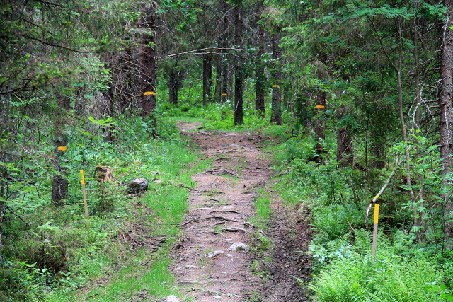 Polku on välillä merkitty aika innokkaasti. 