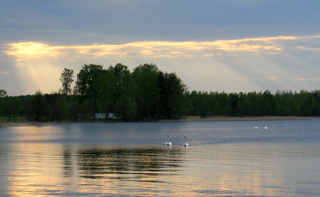 joutsenet ja valonsäteet 2