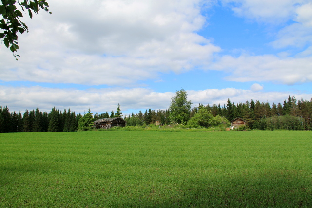 Polun varrella on nättiä maalaismaisemaa ja Mustinmäki on idyllisen näköinen kylä. 
