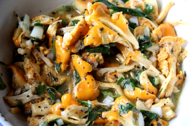 Marinoidut kantarellit. 