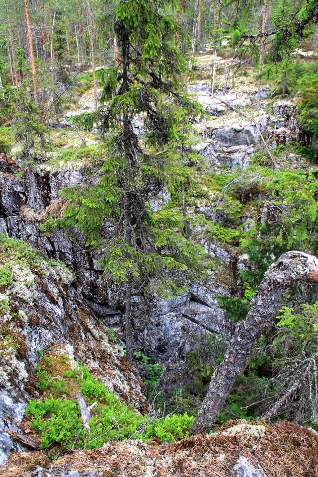 Näkymä alas rotkoon. 
