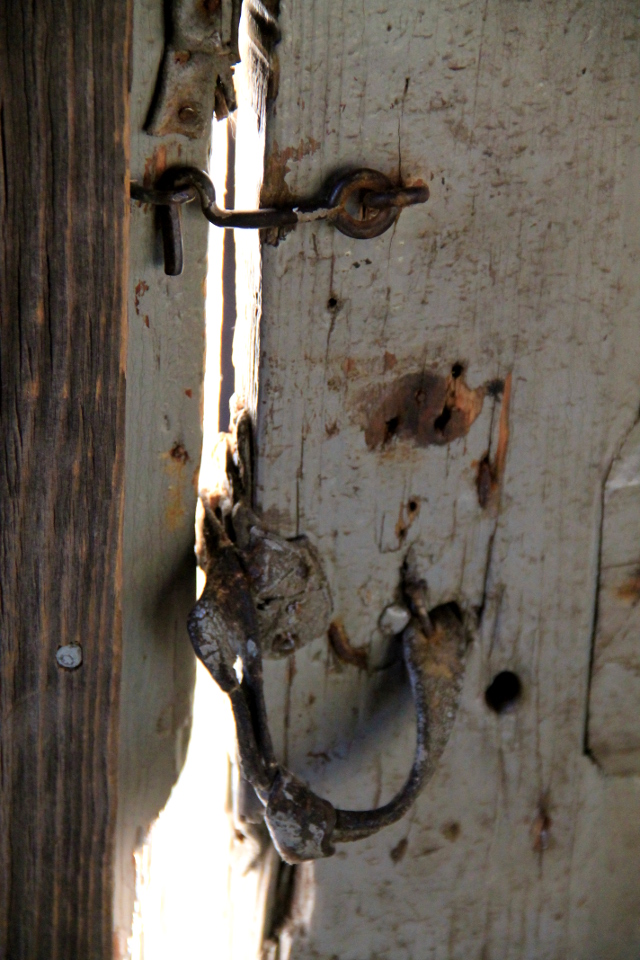 Rantasaunan hakanen. 