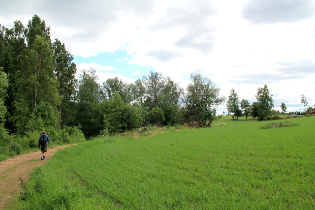 Polku alkaa Mustinmäen koululta ja on aluksi tällaista tietä. 