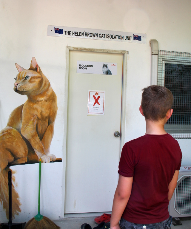 kissojen-eristyshuone