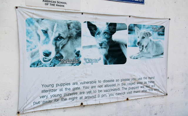 opaste-pentualueelle