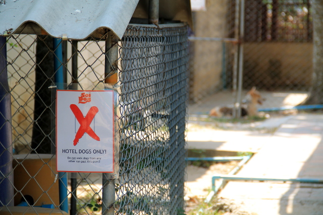 opastekyltti-alueella