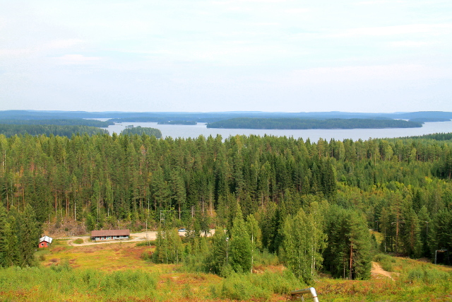 pääskyvuori kesällä