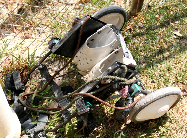 Rullatuoli koiralle. Monet koirat voivat ihan hyvin liikkua tällaiselle, mikäli takajalat eivät toimi. 