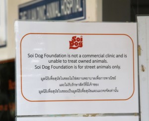 Soi Dogin päätehtävä on auttaa katukoiria- ja kissoja. 