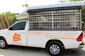 Soi Dogin eläinten pyydystäjät etsivät koiria ja kissoja, jotka tuodaan näillä autoilla Soi Dogille steriloitavaksi, rokotettavaksi ja tarpeen mukaan muuta hoitoa saamaan. 