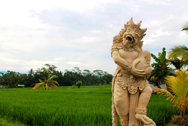 Riisipelto Ubudissa. 