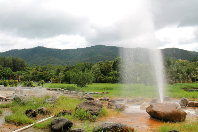 Valegeysiri ja puiston maisemat.