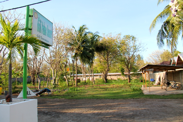 Gili Palmsin edusta. 