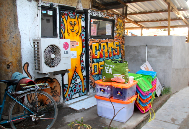 Kissaklinikan kamoja Cats of Gilin kaupan edessä Gili Trawanganilla. Tässä ollaan lähdössä Gili Menon saarelle neljän ensimmäisen klinikkapäivän jälkeen. 