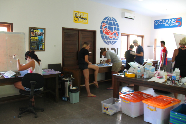 leikkaussali-kissaklinikka