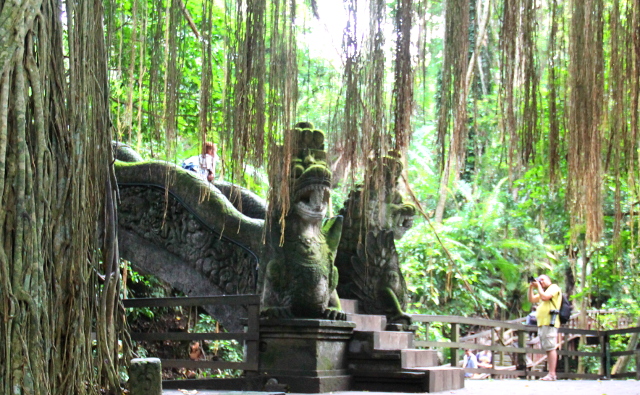 lohikaarmerappuset-2