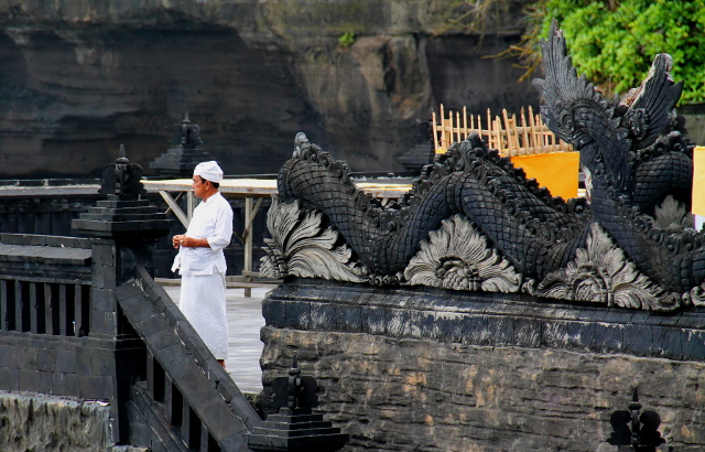 mies-katselee-temppelilla