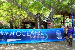 Oceans 5 on hyvis sukelluskeskus, joten kannattaa valita se Gili Airille mennessä. Se sijaitsee aivan saaren satamassa. Niillä on myös hienoa majoitusta uima-altaineen. 