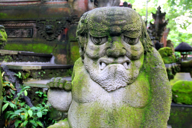 patsas-monkey-forestissa-2