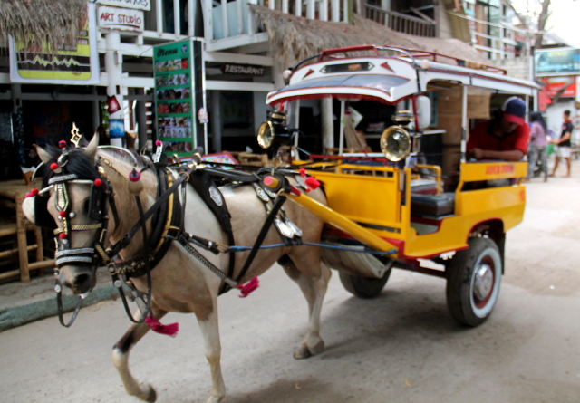 Trawanganilaiset hevoskärryt. 