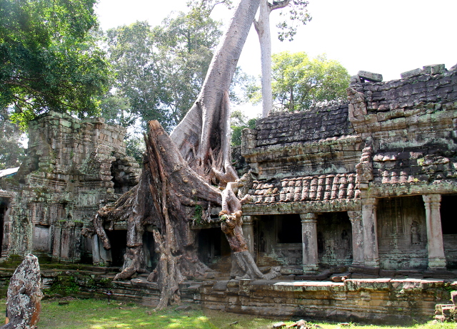 juuria-temppelirauniolla