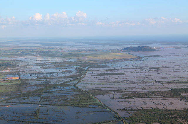 kambodzan-vetisia-peltoja