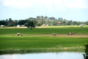 Maisema bussin ikkunasta. 