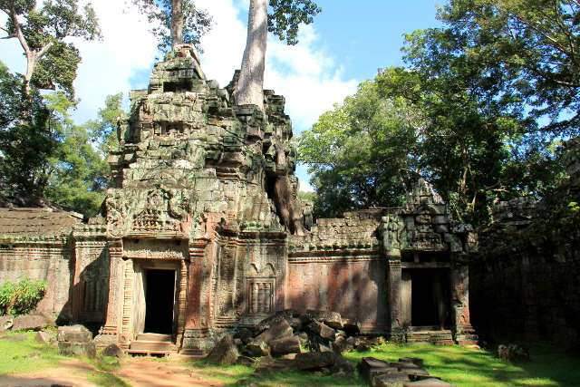 ta-prohm-10