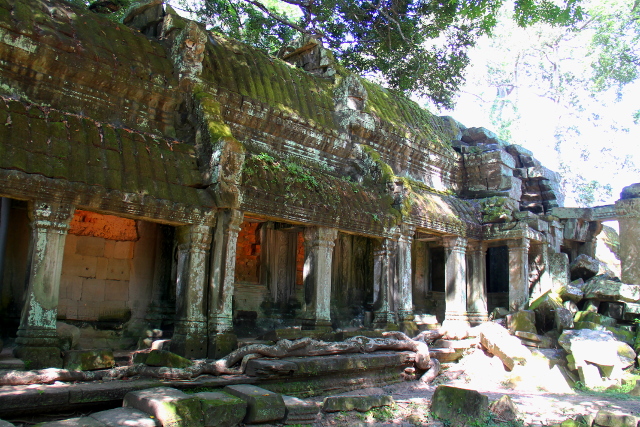 ta-prohm-4