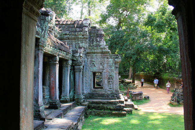 ta-prohm-7
