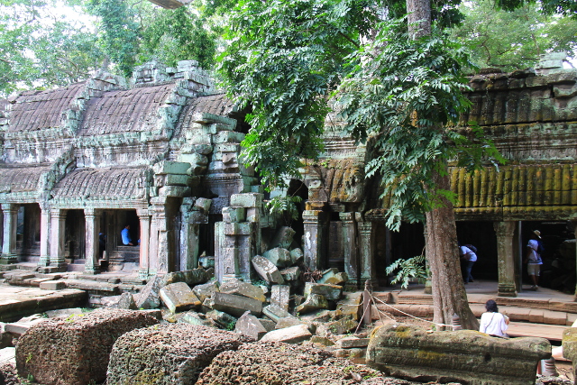 ta-prohm-8