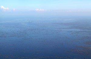 Tonlé Sap -järven suistoa. 