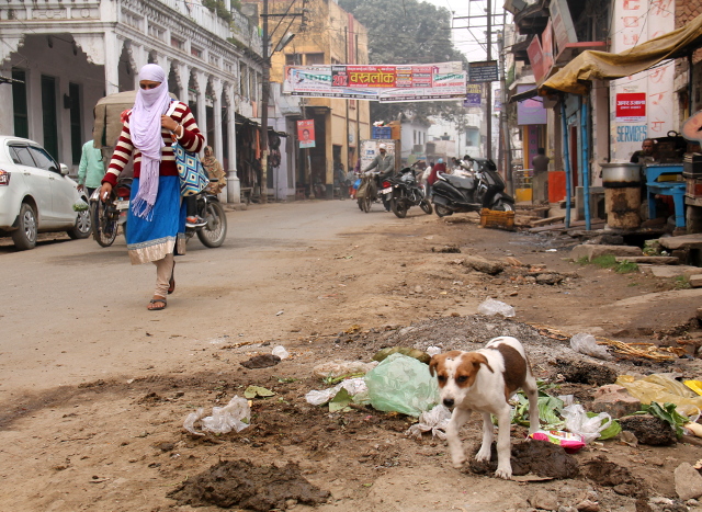 koiranpentu-varanasin-kadulla