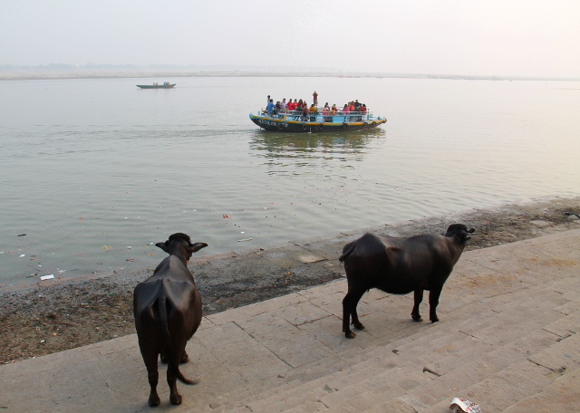 puhvelit-gangesin-rannalla