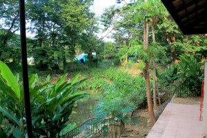 Asuinalueen kaikki talot sijaitsevat lammen rannalla. Tämä lampi on aika rehevä. Ainakin vaatteiden pesukoneen kaikki pesuvedet valuvat suoraan sinne. 