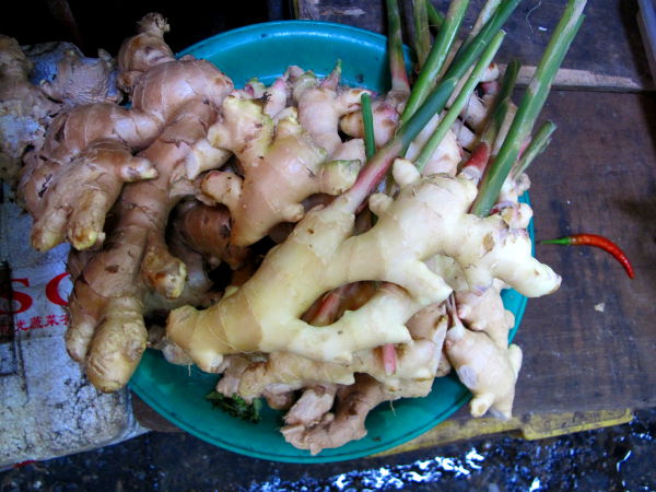 Galagan juurta. Hyvä mauste, jota ei pidä laittaa ruokaan kuitenkaan liika. Maku on hämympi kuin inkiväärin. Tärkeä mauste Thaimaassa. 