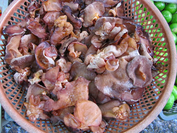 Pilvenkorvasieniä. Ne eivät maistu paljoakaan, mutta ovat rapsakoita ja pysyvät sellaisina, vaikka niitä kuinka keittäisi. Nam. 