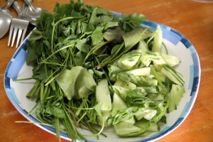 Thairavintoloissa voi usein lisätä ruokaansa vihanneksia tämmöisestä valikoimasta. Jotkut yrtit ovat aika kumman makuisia. 