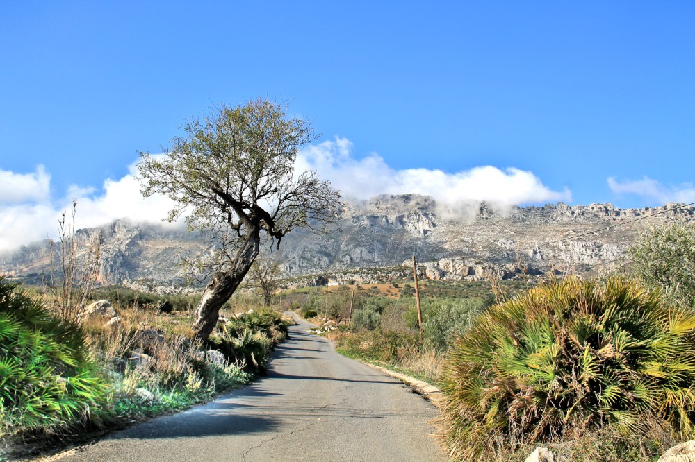 kiemurainen kylätie, mantelipuu tien vierellä ja taustalla vuori